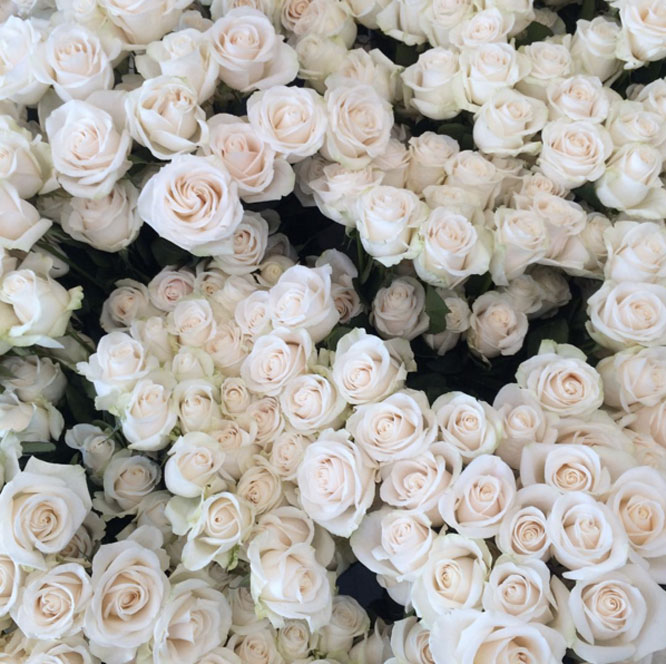 Flowers from Petals LA