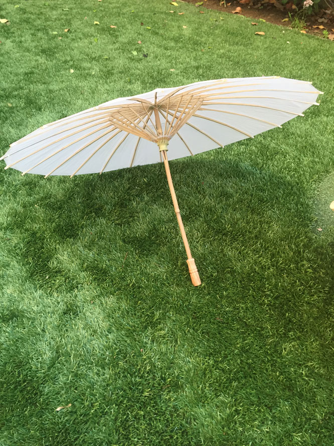 Christine's umbrella favors 