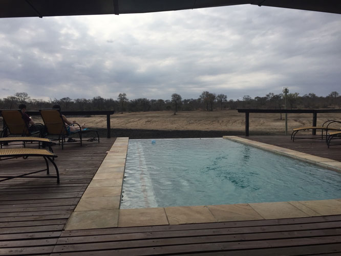 Talar and Serj's Honeymoon