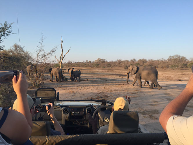 Talar and Serj's Honeymoon