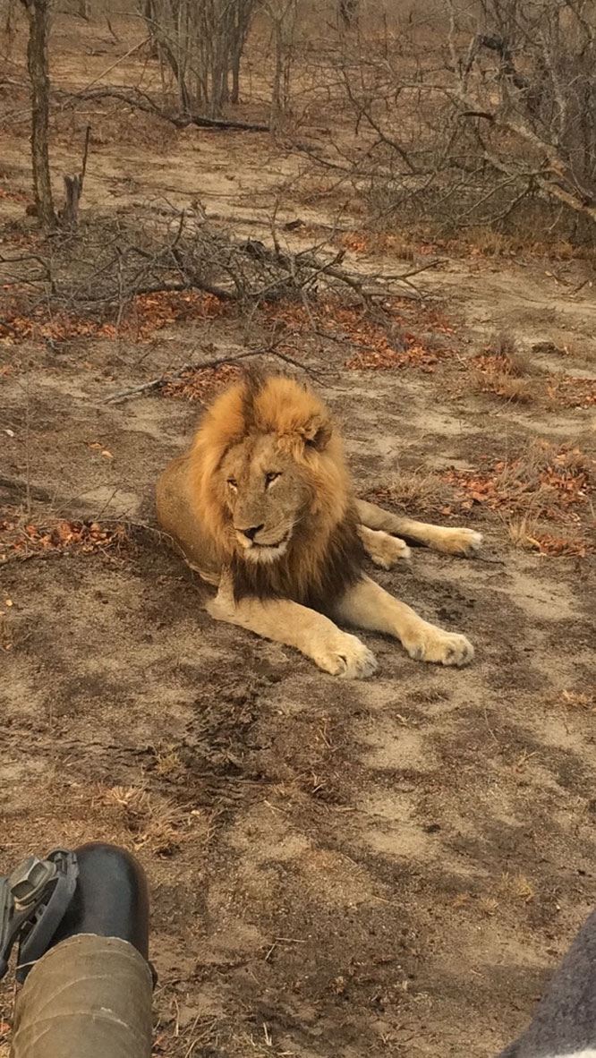 Talar and Serj's Honeymoon