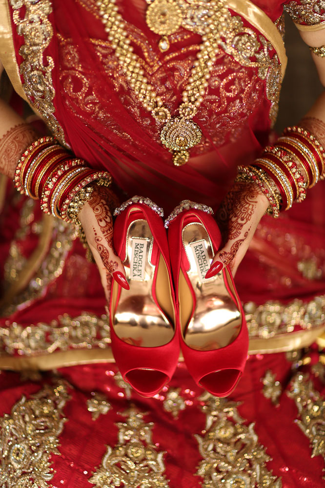 Ani and Anil's Indian Armenian Wedding