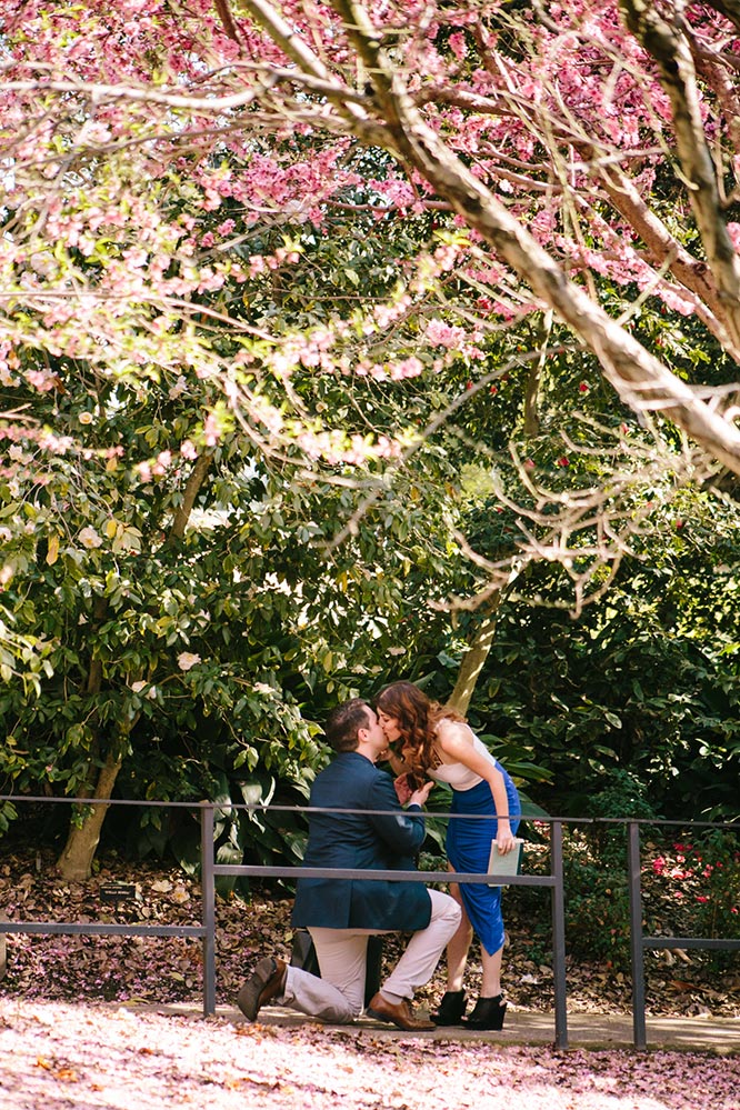 Featured Proposal: Tigran & Mariam