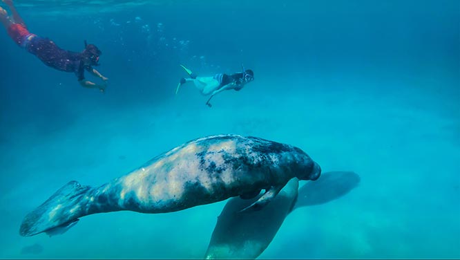 Featured Proposal: Vahe & Hilda