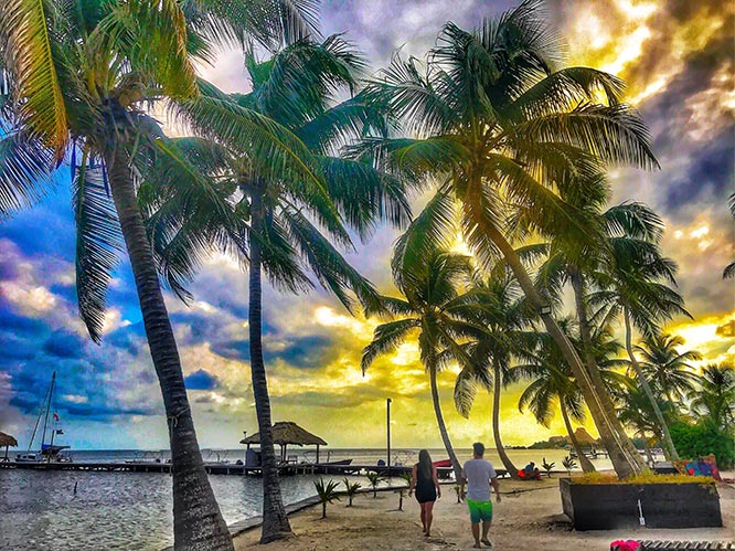 Featured Proposal: Vahe & Hilda