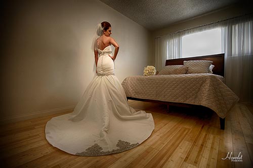 Wedding Dress Buyer's Guide