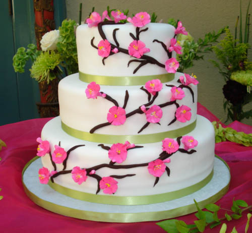 Cake Studio Cake Studio