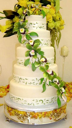 Cake Studio Cake Studio